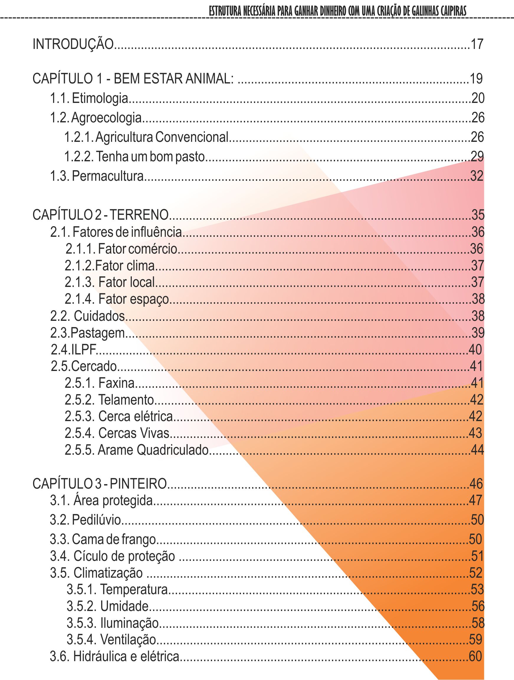 Como montar uma estrutura para criar galinhas caipiras Sítio Sancaipi