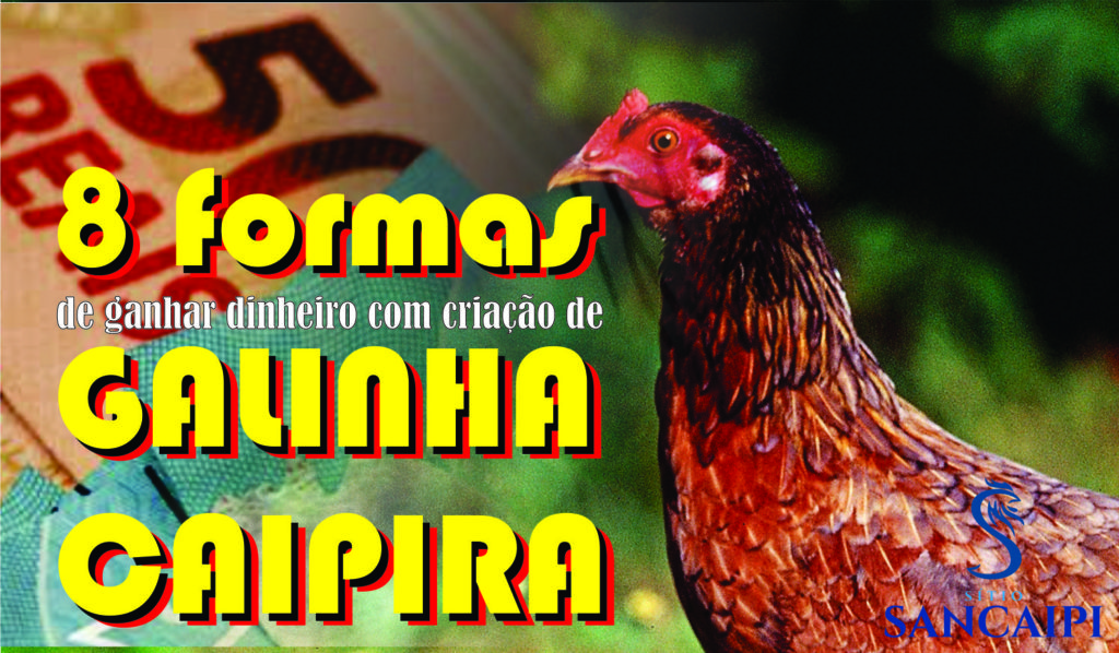 8 formas de GANHAR DINHEIRO com GALINHA CAIPIRA-Saiba como ganhar dinheiro com criação de galinha