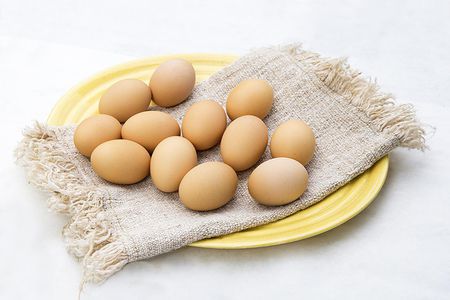 Limpeza dos ovos de galinhas caipiras para incubação e consumo