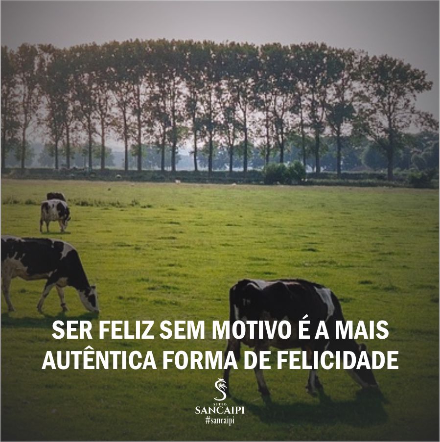 frase motivacional - ser feliz sem motivo - sitio sancaipi