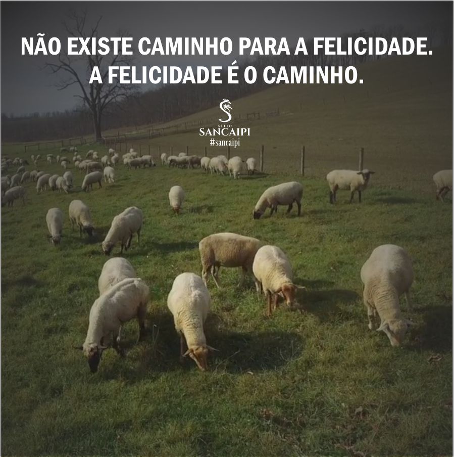 frase motivacional - a felicidade é o caminho - sítio sancaipi