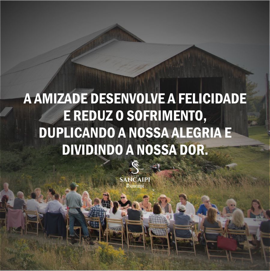 frase motivacional - amizade e felicidade - sítio sancaipi