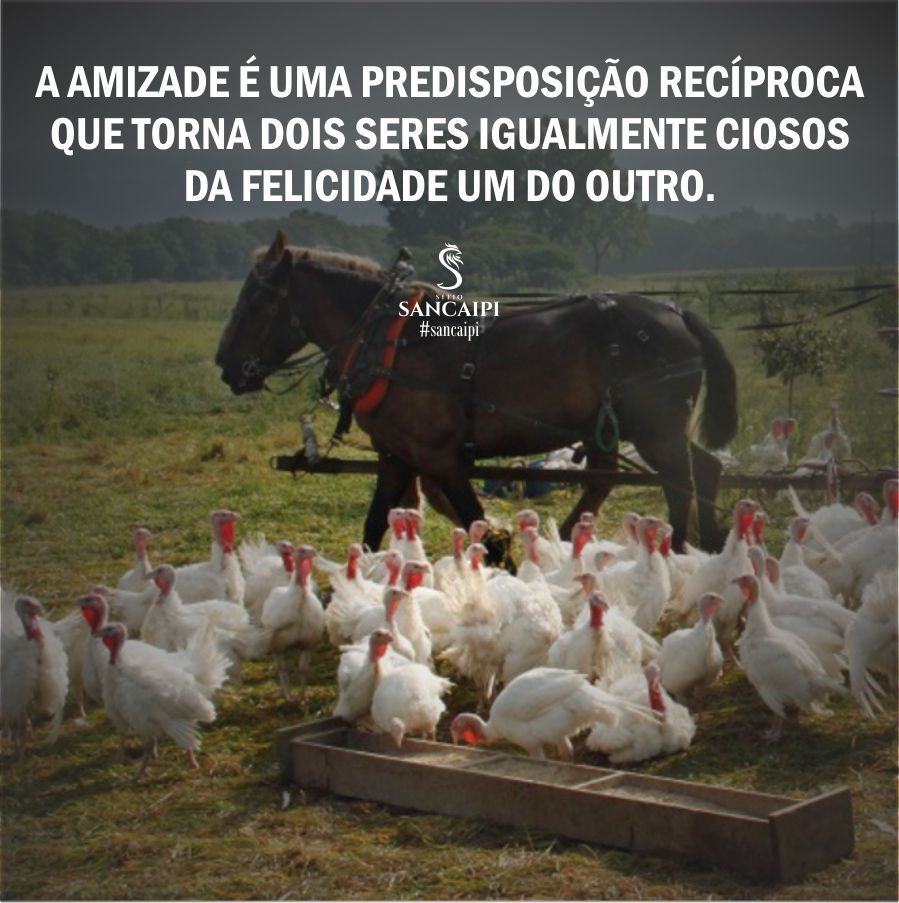 frases motivacionais - felicidade é recíproca - sítio sancaipira