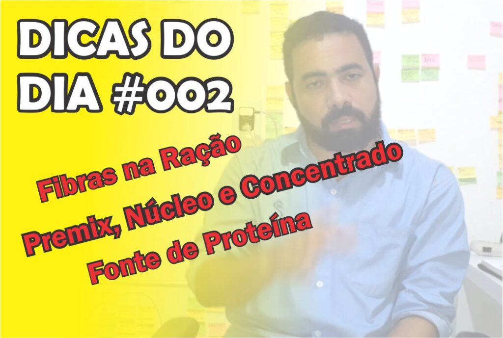 dicas do dia 02 - ração para galinhas caipiras