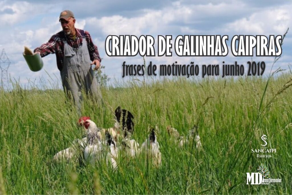 frases motivação - criação de galinhas caipiras - vida simples