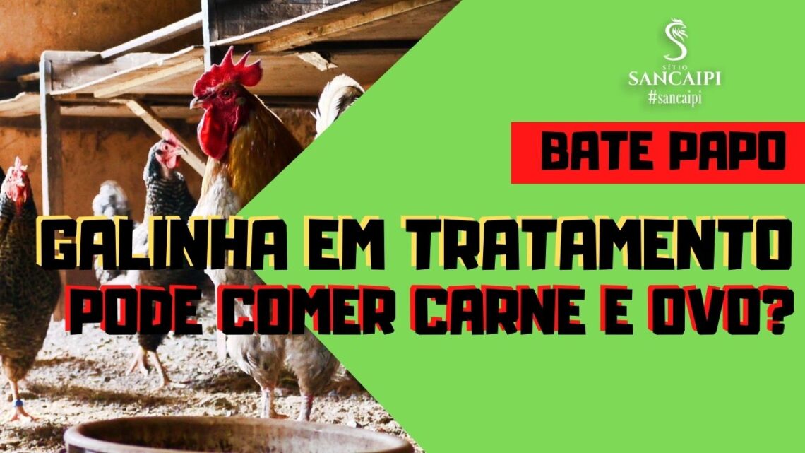 Galinha em tratamento pode ser consumido carne e ovos?