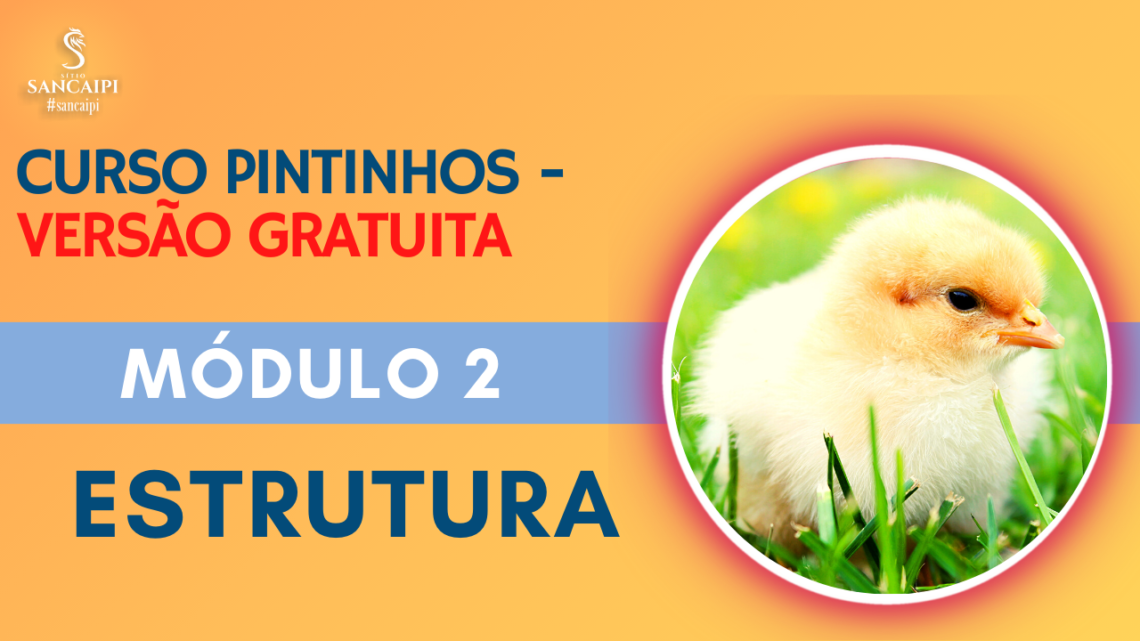 CURSO GRATIS PINTINHOS Módulo 2 Estrutura – mini curso grátis