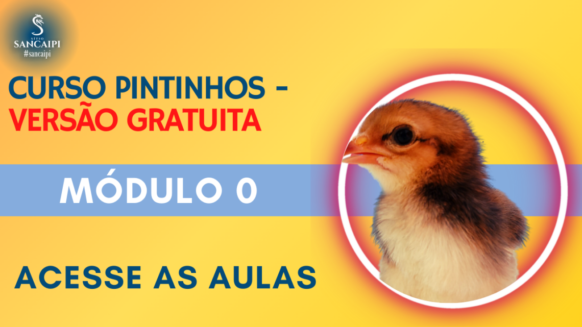 CURSO GRATIS PINTINHOS Módulo 0 Seja muito bem vindo – mini curso grátis