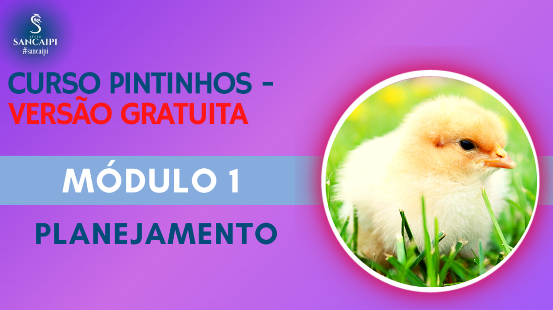 CURSO GRATIS PINTINHOS Módulo 1 Planejamento – mini curso grátis