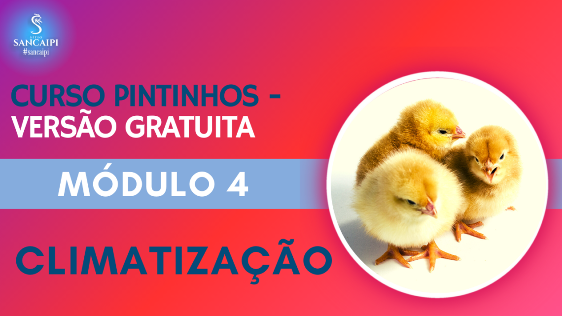 CURSO GRATIS PINTINHOS Módulo 4 Climatização – mini curso grátis