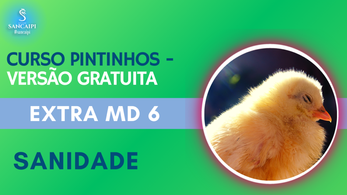 CURSO GRATIS PINTINHOS Módulo 6 EXTRA SANIDADE mini curso grátis