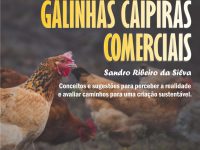 EBOOK: PLANEJAMENTO PARA UMA CRIAÇÃO DE GALINHAS CAIPIRAS